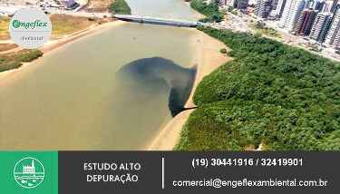 Estudos de auto depuração Estudos de auto depuração