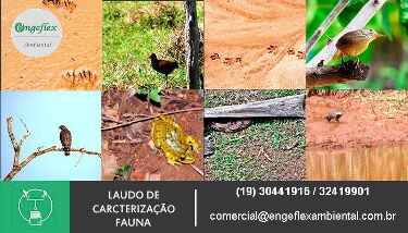 Laudo de caracterização de fauna Laudo de caracterização de fauna
