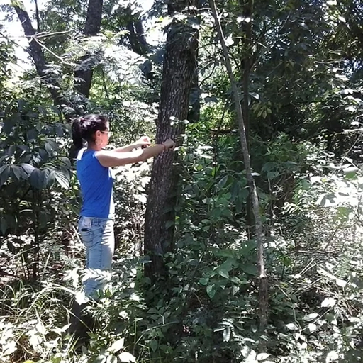 Empresa de Laudo de caracterização de fauna